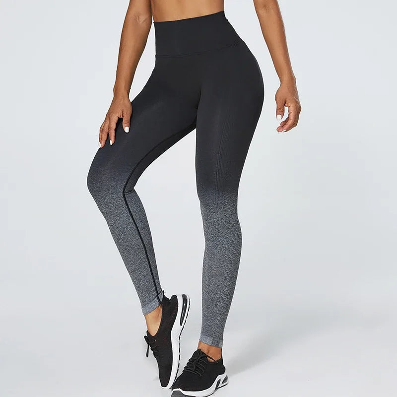 Gradient Color Energy Legging Women Workout Fitness